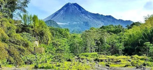 Unveiling the Majestic Bukit Kali Kuning: A Treasure of Natural Beauty